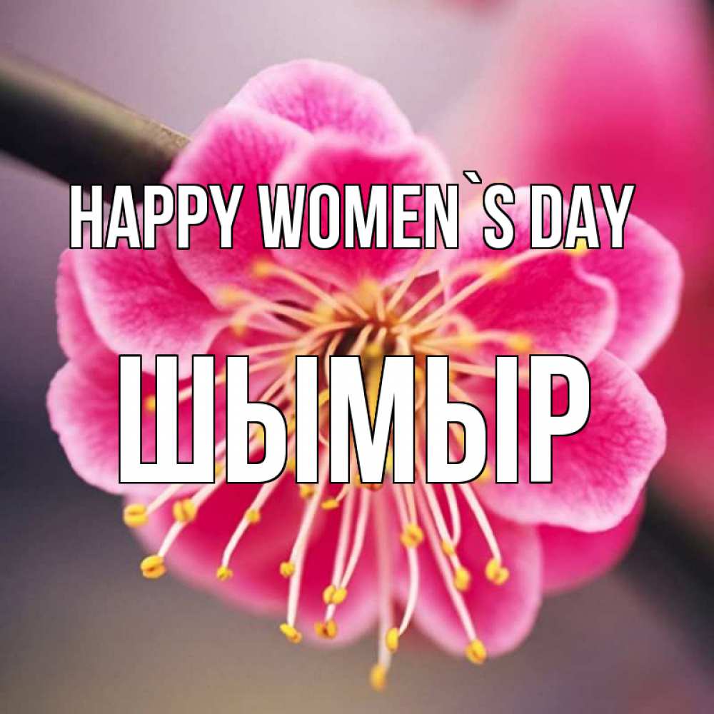 Greetings card с именем, ШЫМЫР happy women`s day цветы Greetings with text for free download 